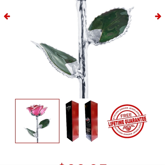 Steven Singer Real Pink Rose Preserved and Dipped in Platinum - Picture 14 of 14